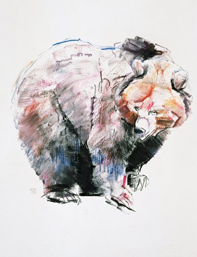 Urso (carvão e conte no papel) de Mark Adlington