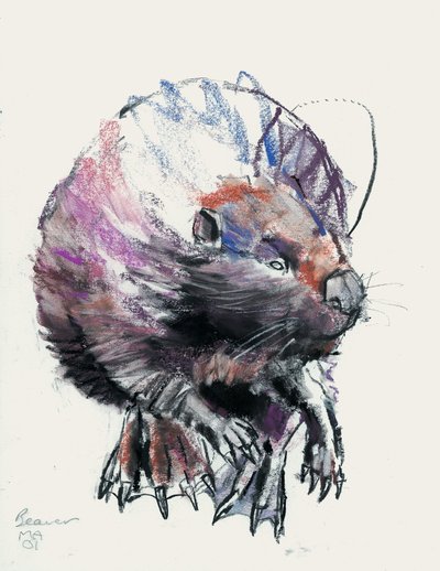 Castor, 2001 (carvão e conte no papel) de Mark Adlington