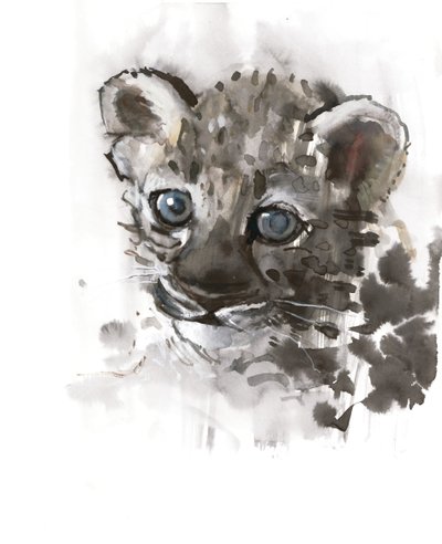 Olhos Azuis (Leopardo Árabe), 2008 de Mark Adlington