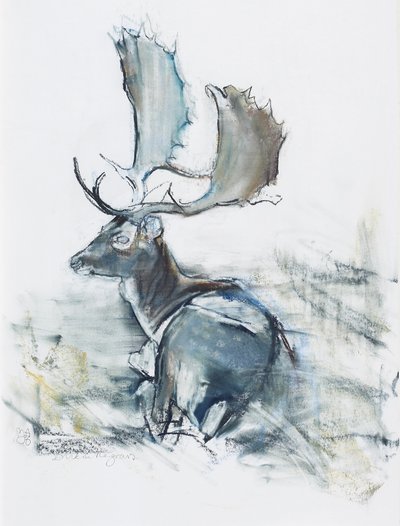 Buck in the Grass, 2006 (carvão vegetal e papel) de Mark Adlington