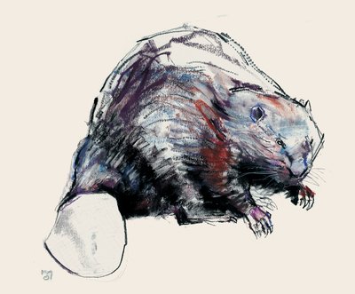 Castor Fiber, 2001 (carvão vegetal e papel) de Mark Adlington