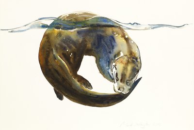 Círculo da vida, 2014, (aguarela sobre papel) de Mark Adlington