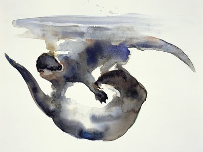 Courtship (aguarela sobre papel) de Mark Adlington