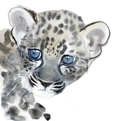 Cub, 2015, (aguarela sobre papel) de Mark Adlington
