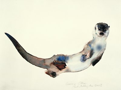 Lontra Curiosa, 2003 de Mark Adlington