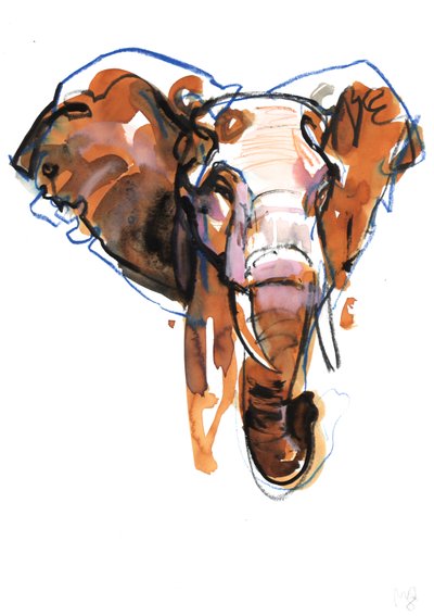 Estudo da cabeça do elefante, 2018 de Mark Adlington