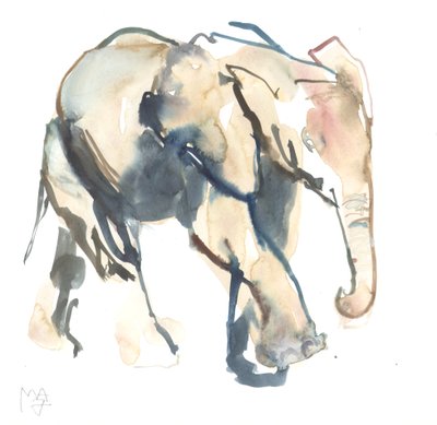 Elefante bezerro, Loisaba, 2017 (aquarela sobre papel)) de Mark Adlington