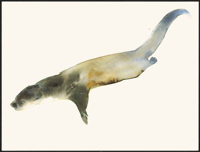 Lontra Europeia de Mark Adlington