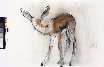 Gazela fulvo (gazela árabe) 2010 (óleo sobre papel) de Mark Adlington
