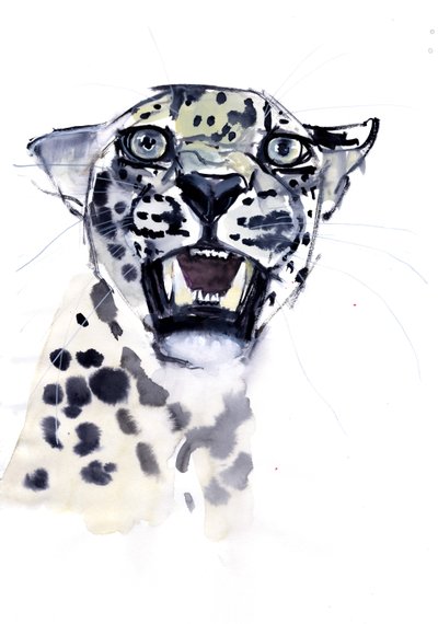 Rosnar Incisivo (Leopardo Árabe), 2008 de Mark Adlington