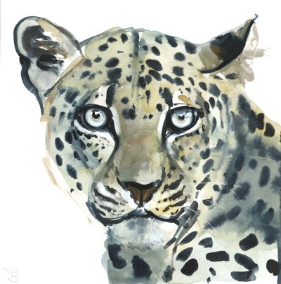 Leopardo, 2015, (aguarela sobre papel) de Mark Adlington