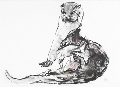 Lutra lutra (carvão e conte no papel) de Mark Adlington