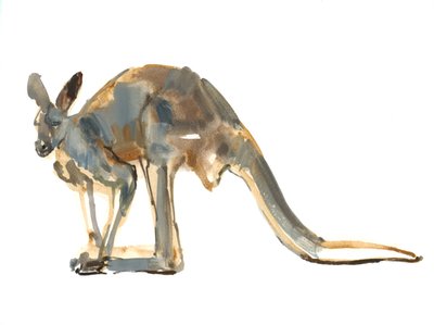 Ochre Dusted, (Canguru Vermelho), 2012, (aquarela e pigmento no papel) de Mark Adlington