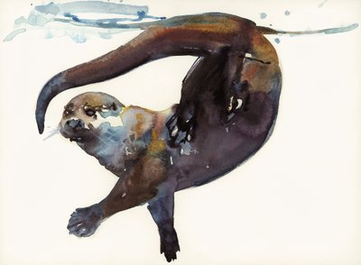 Estudo de Otter II - &39;Talker&39; de Mark Adlington