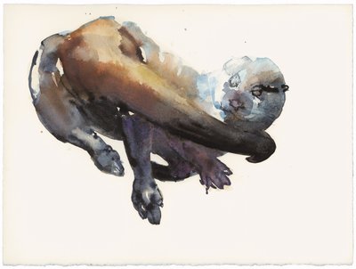 Otter Study I - &39;Talisker&39; de Mark Adlington