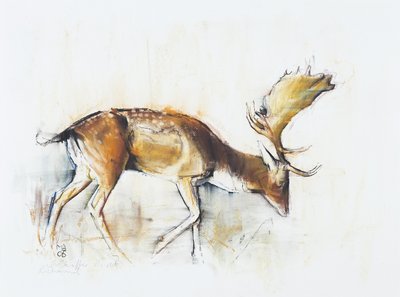 Pisanello Buck, 2006 (carvão vegetal e papel) de Mark Adlington