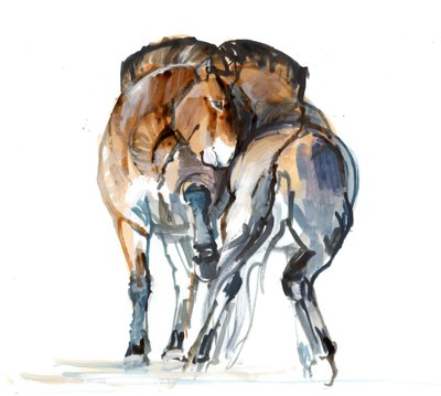 Power Dance (Przewalski), 2013 (tinta de aquarela, aquarela e guache) de Mark Adlington