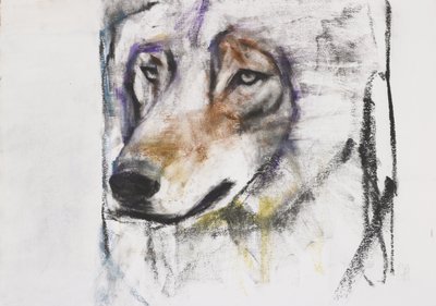 The Wolf Process (mídia mista no papel) de Mark Adlington