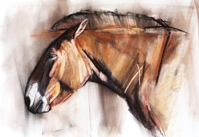 Resting Horse, 2013, (pastel e carvão sobre papel) de Mark Adlington