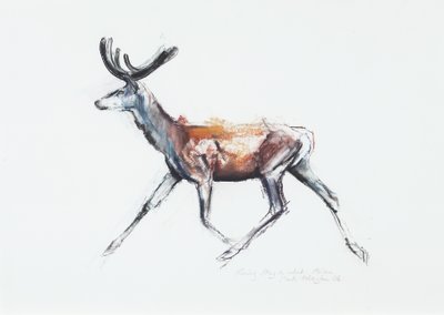 Running Stag em veludo, Polsen, 2006 (carvão vegetal e papel) de Mark Adlington