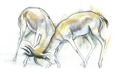 Sand Gazelles, 2009 (conte e carvão no papel) de Mark Adlington