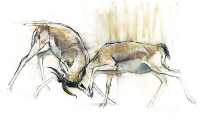 Sand Gazelles, 2009 (conte e carvão no papel) de Mark Adlington