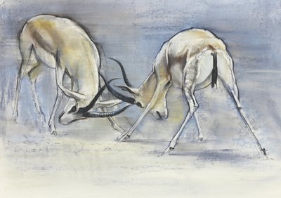 Sand Gazelles, 2009 (conte e carvão no papel) de Mark Adlington
