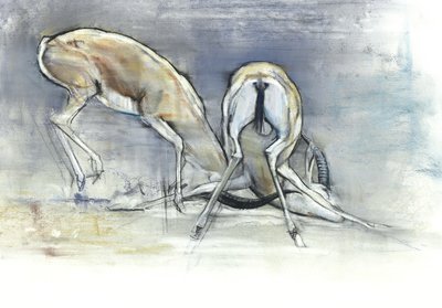 Sand Gazelles, 2009 (conte e carvão no papel) de Mark Adlington