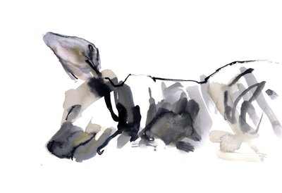 Sleeping Hyaena, 2010, (aguarela sobre papel) de Mark Adlington