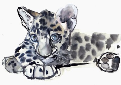 Manchado (filhote de leopardo Árabe), 2008 de Mark Adlington