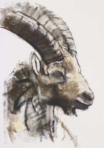 Testa, 2005 (carvão e conte no papel) de Mark Adlington