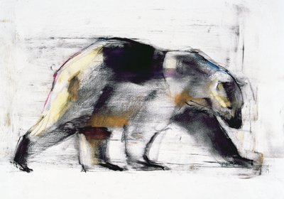 Ursus Maritimus, 1999 (carvão e conte no papel) de Mark Adlington