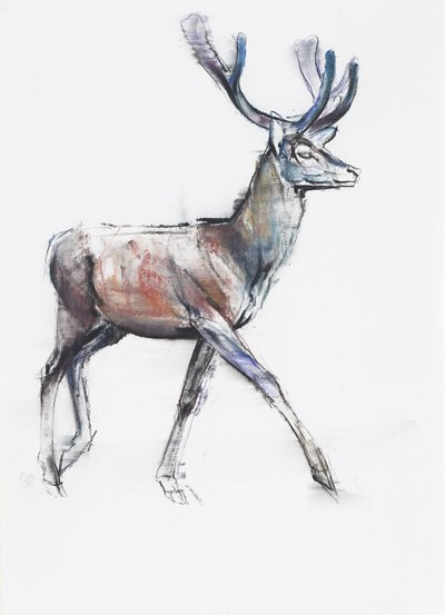 Velvet, 2006 (carvão e conte no papel) de Mark Adlington