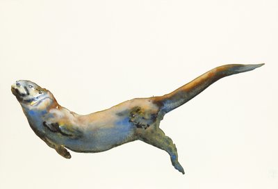 Veludo, 2014, (aguarela sobre papel) de Mark Adlington