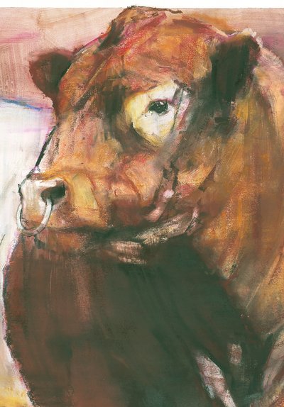 Zeus, Red Belted Galloway Bull, 2006 mídia mista em papel detalhe de 275255 de Mark Adlington