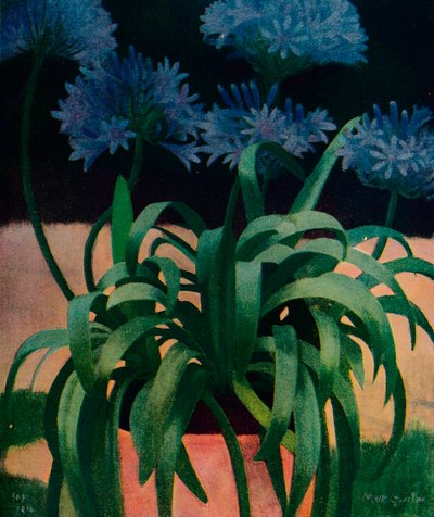 Agapanthus, 1914, c1932 de Mark Gertler