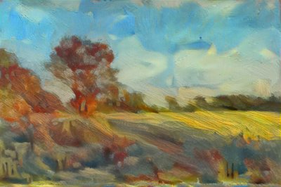 calke park de Mark Gordon