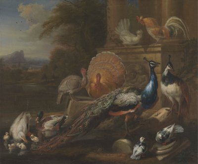 Pavões, Pombas, Perus, Galinhas e Patos por uma Ruína Clássica de Marmaduke Cradock