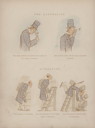 Página dos Humores de Cynicus (gravura colorida) de Martin  Anderson