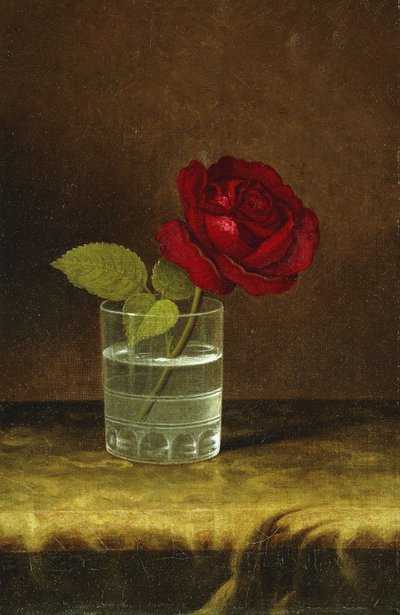 Rosa vermelha, de Martin Johnson Heade
