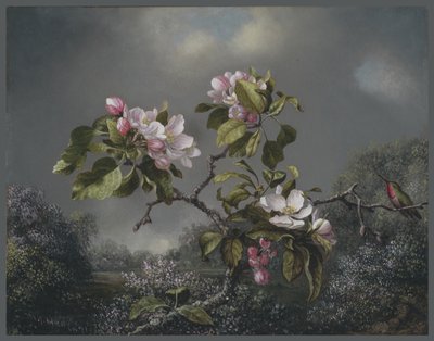 Flores de Maçã e Beija-Flor, 1871 de Martin Johnson Heade