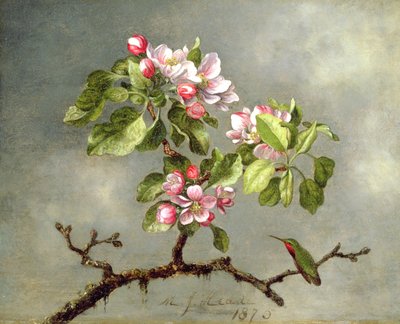 Flores de maçã e um beija-flor, 1875 de Martin Johnson Heade