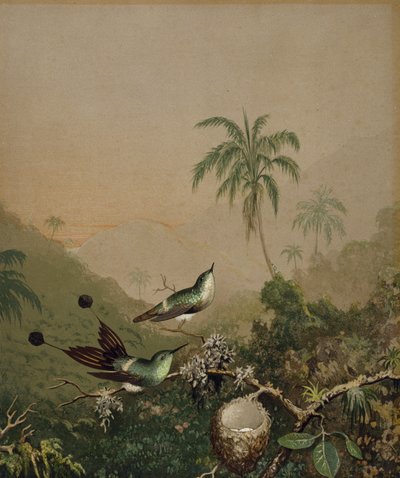 Beija-flores Brasileiros II, c. 1864-1865 (cromolitografia com tinta a óleo manual sobre papel) de Martin Johnson Heade