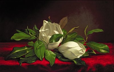 Magnólia de Martin Johnson Heade