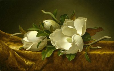 Magnólias em tecido de veludo dourado de Martin Johnson Heade
