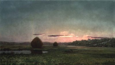 Pântanos (óleo sobre tela) de Martin Johnson Heade