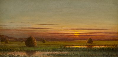 Pântanos de Martin Johnson Heade