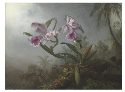 Orquídeas cor de rosa e beija-flor em um galho, 1875 de Martin Johnson Heade