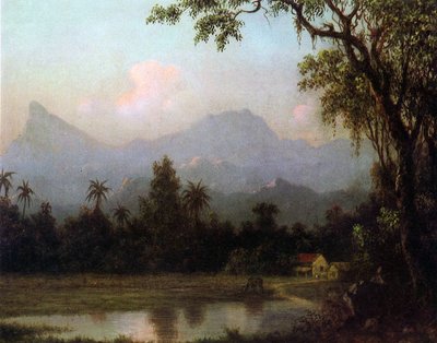 Rio de Janeiro, Brazil, c.1865  de Martin Johnson Heade
