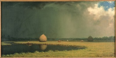 Feno do pântano salgado, c.1865 (óleo sobre tela) de Martin Johnson Heade